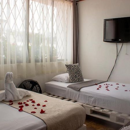 Eco Stay Hostel San José Buitenkant foto