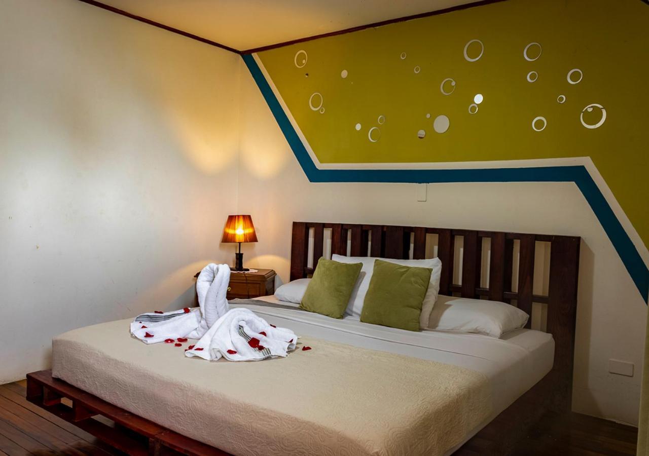 Eco Stay Hostel San José Buitenkant foto