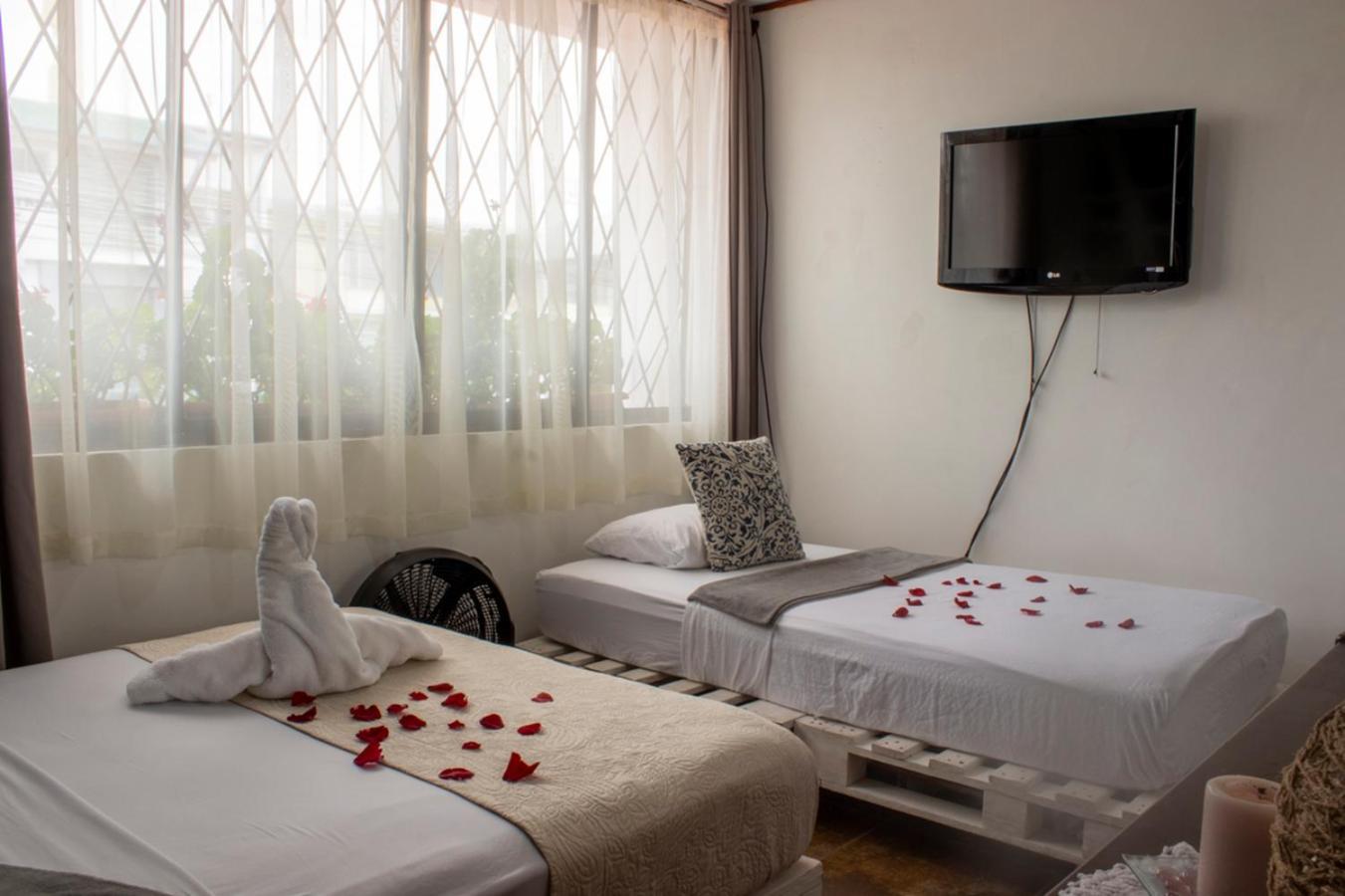 Eco Stay Hostel San José Buitenkant foto