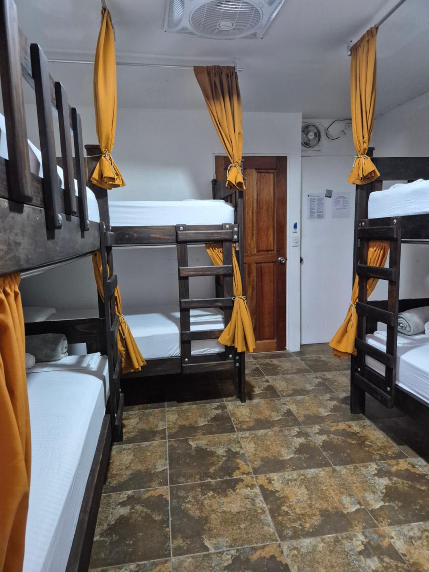 Eco Stay Hostel San José Buitenkant foto